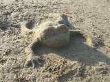 Лягушка на песке